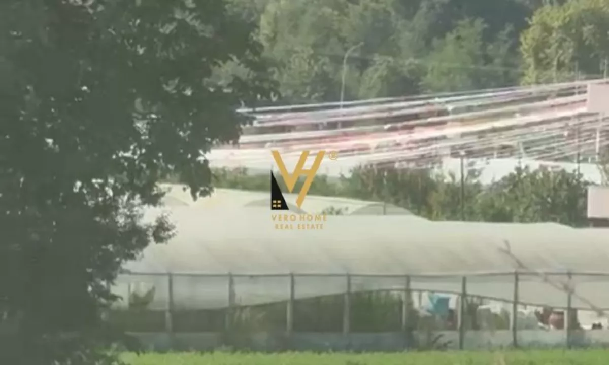 SHITET TOKE 2.500 M2 NE PEZE 175.000 EURO