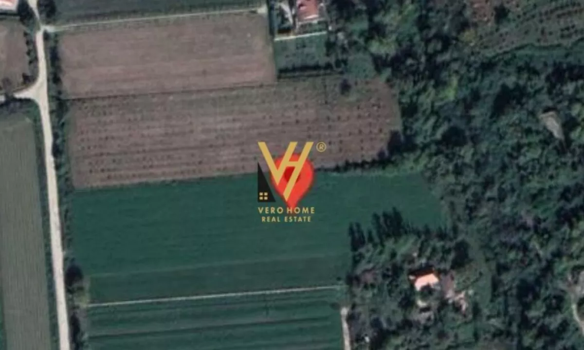 SHITET TOKE 10.000 M2 NE RINAS 700.000 EURO