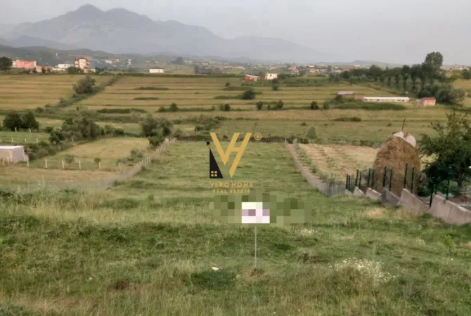 SHITET TOKE PEMETORE 3.300 M2 NE CERKEZ, KASALL 120.000 EURO