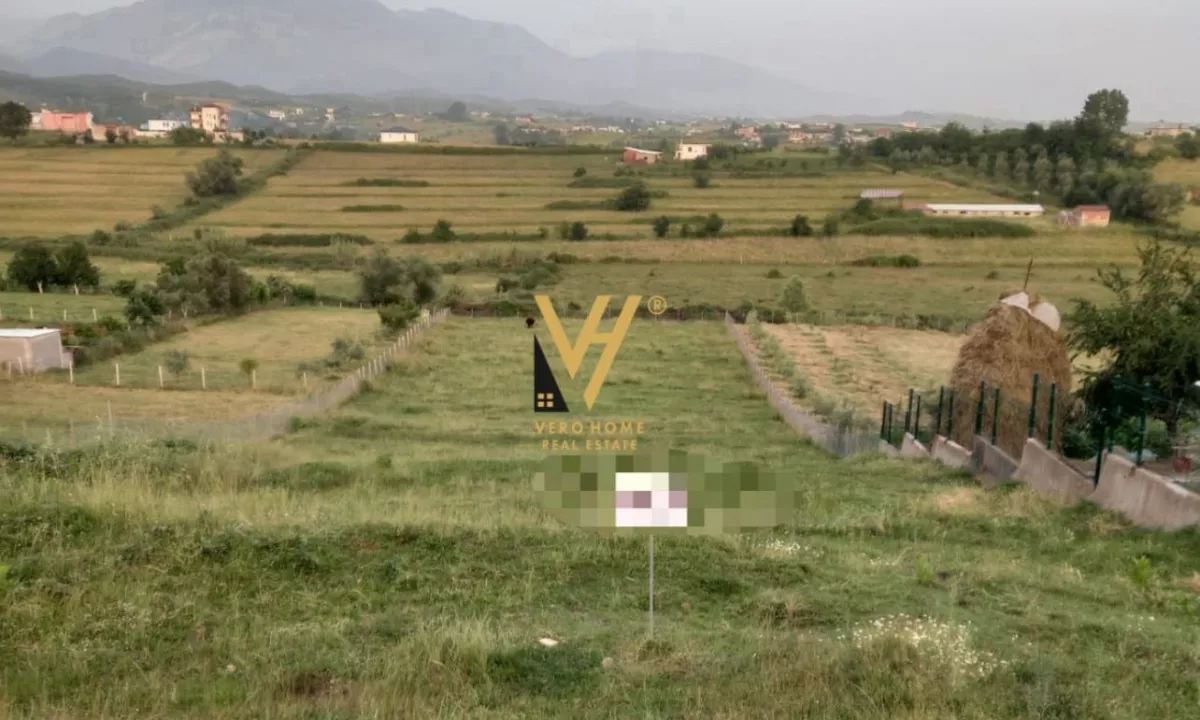 SHITET TOKE PEMETORE 3.300 M2 NE CERKEZ, KASALL 120.000 EURO