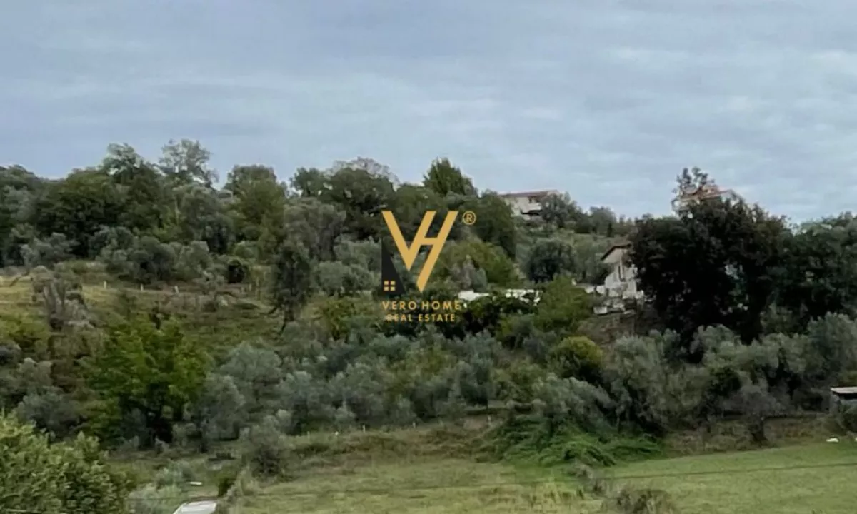 SHITET TRUALL 16.000 M2 PRANE TEG 3.200.000 EURO