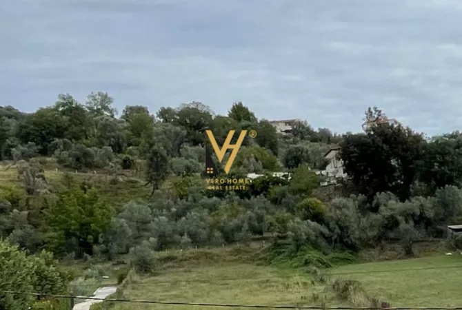 SHITET TRUALL 16.000 M2 PRANE TEG 3.200.000 EURO