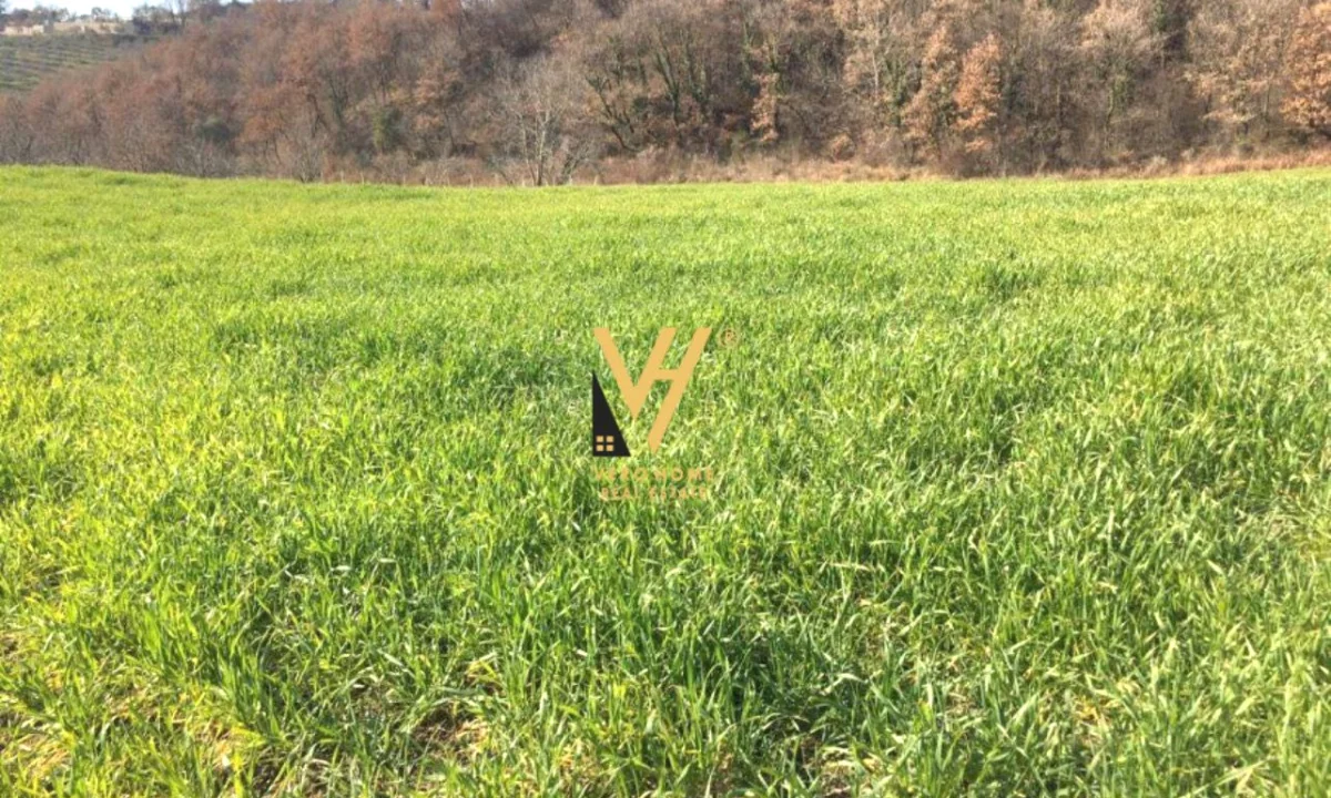 SHITET TRUALL 3.200 M2 TE QTU 380.000 EURO