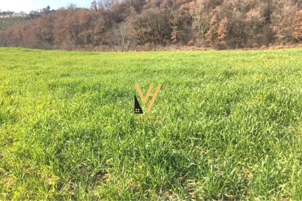 SHITET TRUALL 3.200 M2 TE QTU 380.000 EURO