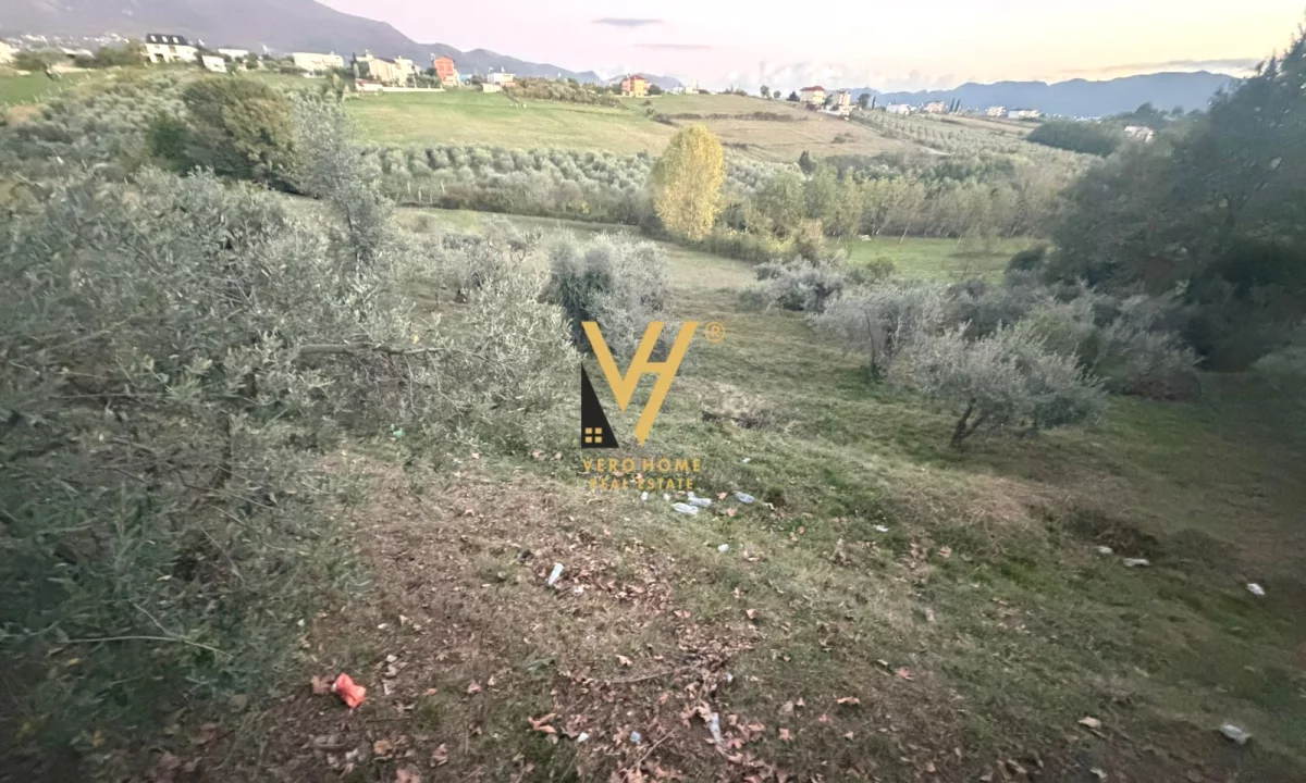 SHITE TOKE ARE 11.500 M2 TE RRUGA E DAXHIT, FARKE 2.000.000 EURO