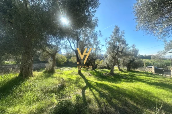 SHITET TOKE 700 M2 NE BABRRU 150.000 EURO