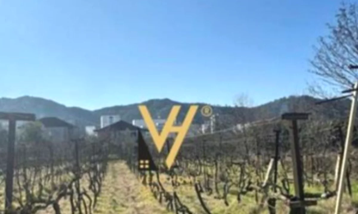 SHITET TOKE DHE SHTEPI PRIVATE NE VORE 550.000 EURO