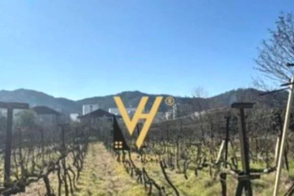 SHITET TOKE DHE SHTEPI PRIVATE NE VORE 550.000 EURO