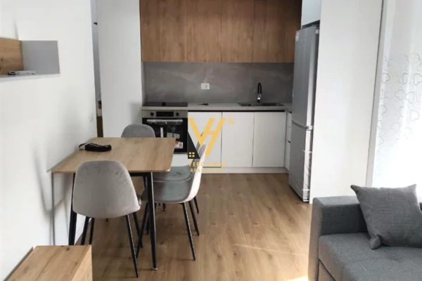 Shtepi me qera Apartament ne Tirane, 1+1, Mobilimi E mobiluar, Pagesa 430  Euro.