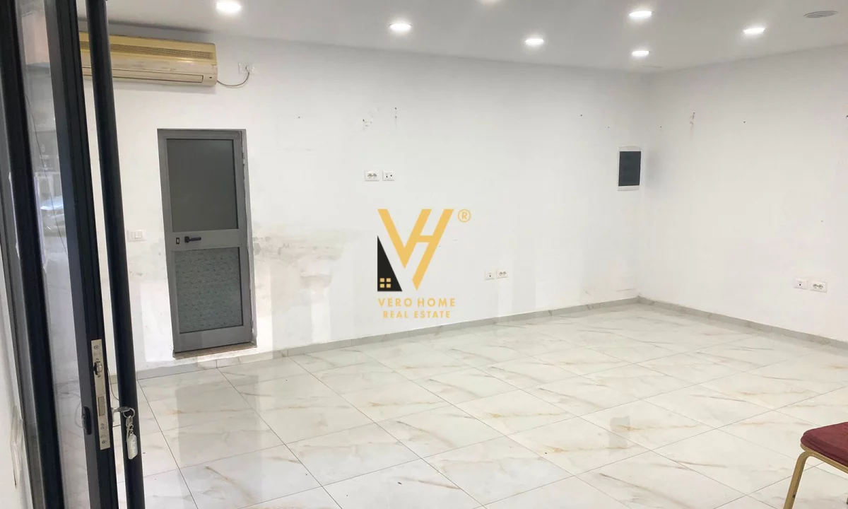 SHITET DYQAN 48 M2 NE VASIL SHANTO, IRFAN TOMINI 170.000 EURO