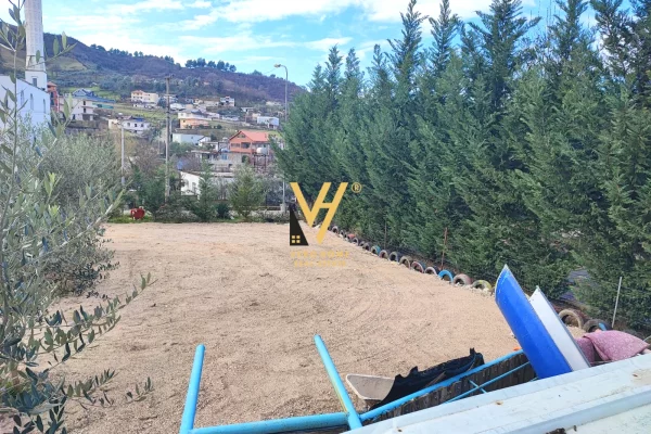 JEPET HAPESIRE BIZNESI 250 M2 ME QIRA NE KOMBINAT 60.000 LEKE