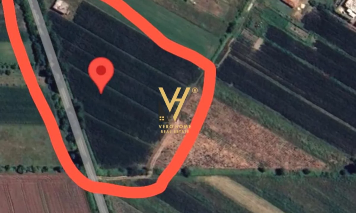 SHITET TOKE 8.600 M2 NE THUMANE 360.000 EURO