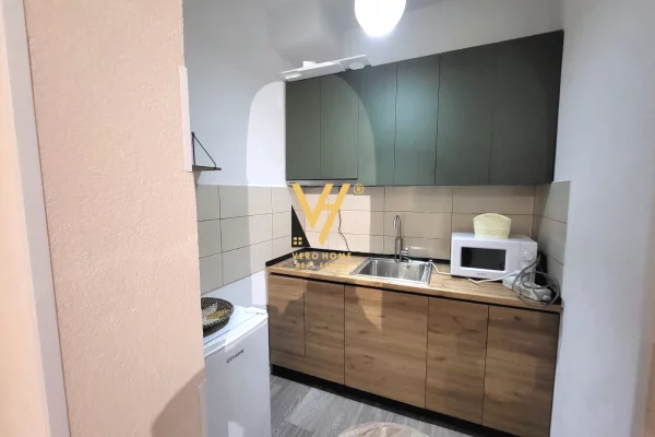 Shtepi me qera Apartament ne Tirane, 1+1, Mobilimi E mobiluar, Pagesa 530  Euro.